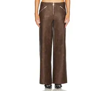 HOSE FLY in Brown