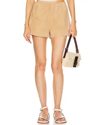 SPRWMN SHORTS DOLPHIN in Tan Tan