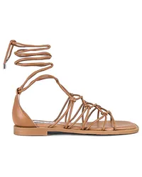 Steve Madden SANDALE AINSLEY in Tan Tan