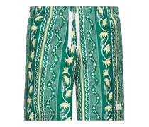 BADEHOSE in Green