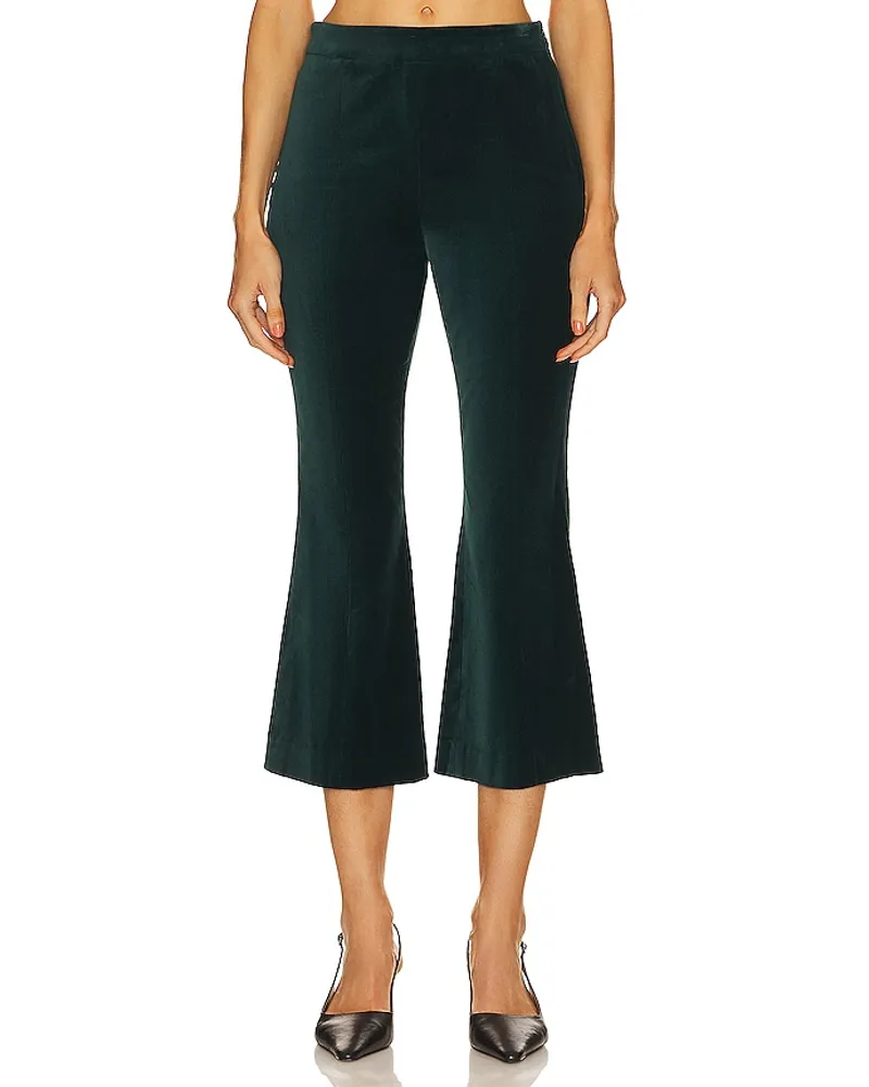 BCBGMAXAZRIA HOSE AUS SAMT IN CROPPED-LÄNGE in Dark Green Dark