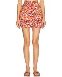 Diane von Furstenberg SHORTS BALBINO in Red Red