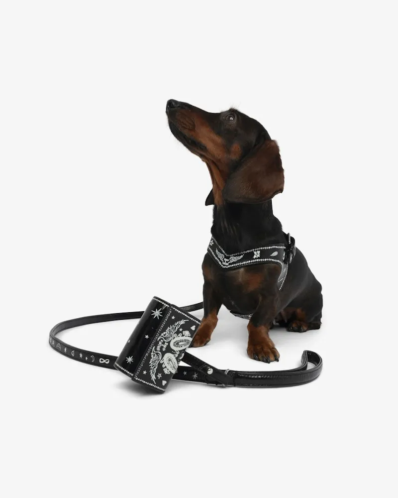 Zadig & Voltaire Zadog Tasche 