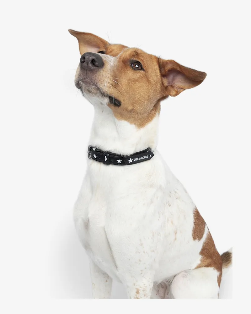 Zadig & Voltaire Zadog Halsband 