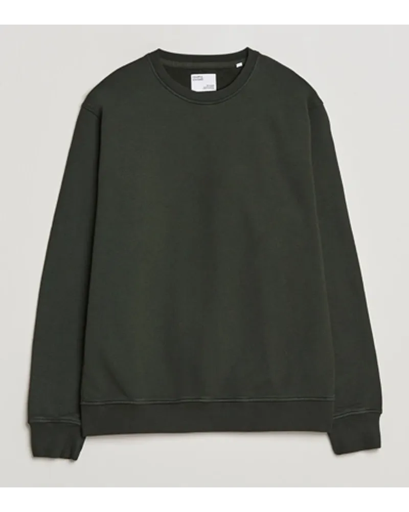 COLORFUL STANDARD Classic Organic Rundhals Sweat Hunter Green Grün