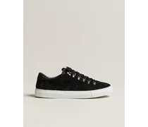 Marostica Low Sneaker Black Suede