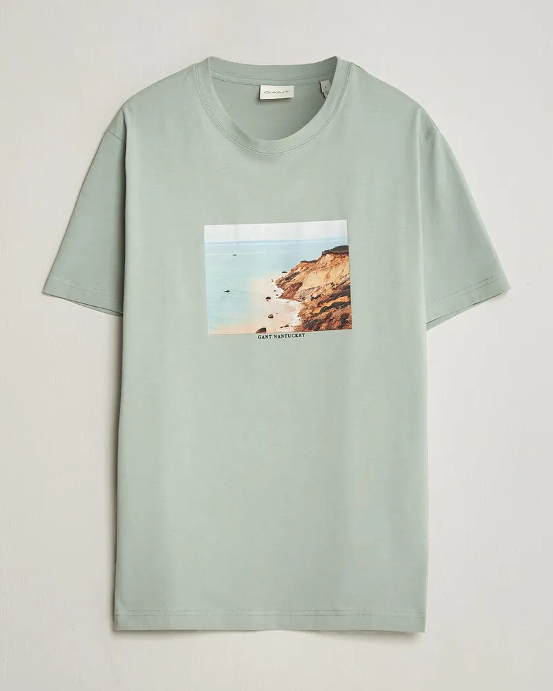 Gant Scenery Graphic Crew Neck T-Shirt Ceramic Grey Grün