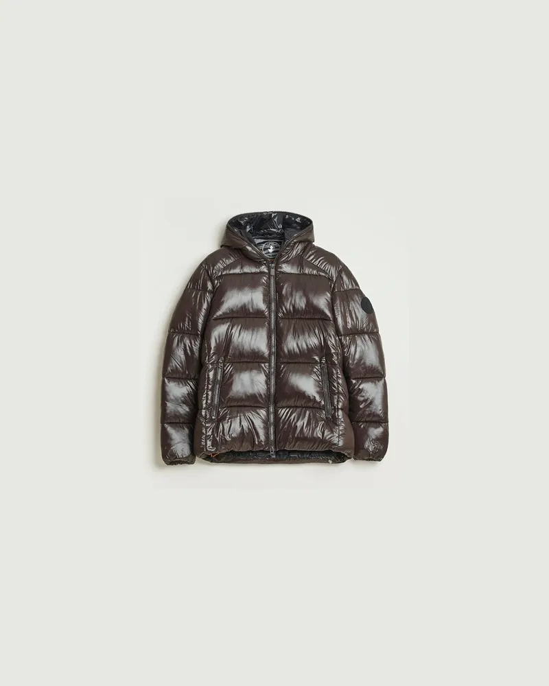 Save The Duck Edgard Padded Puffer Brown Black Braun