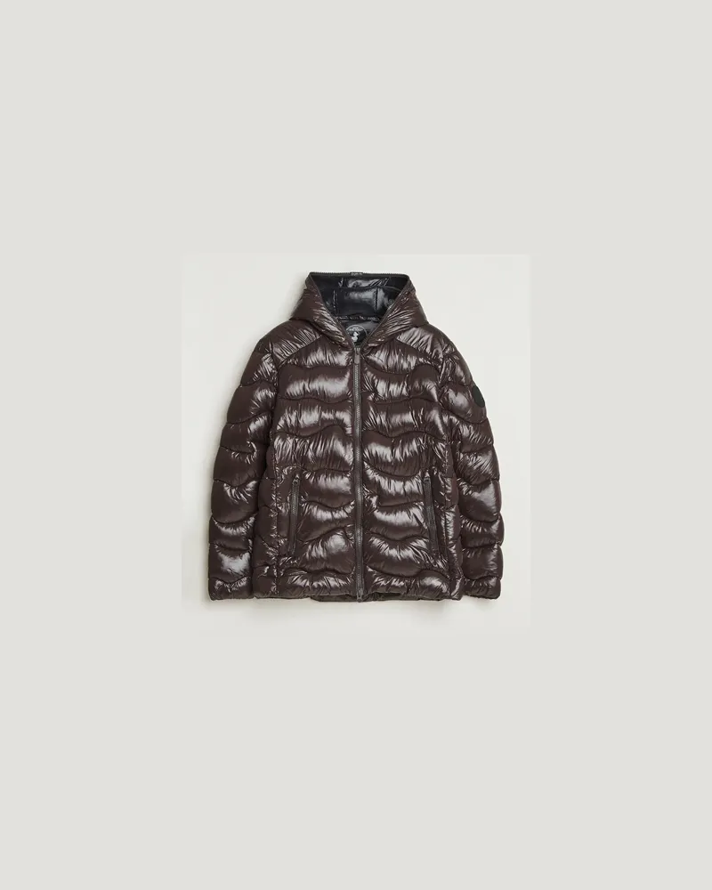 Save The Duck Chet Padded Puffer Brown Black Braun