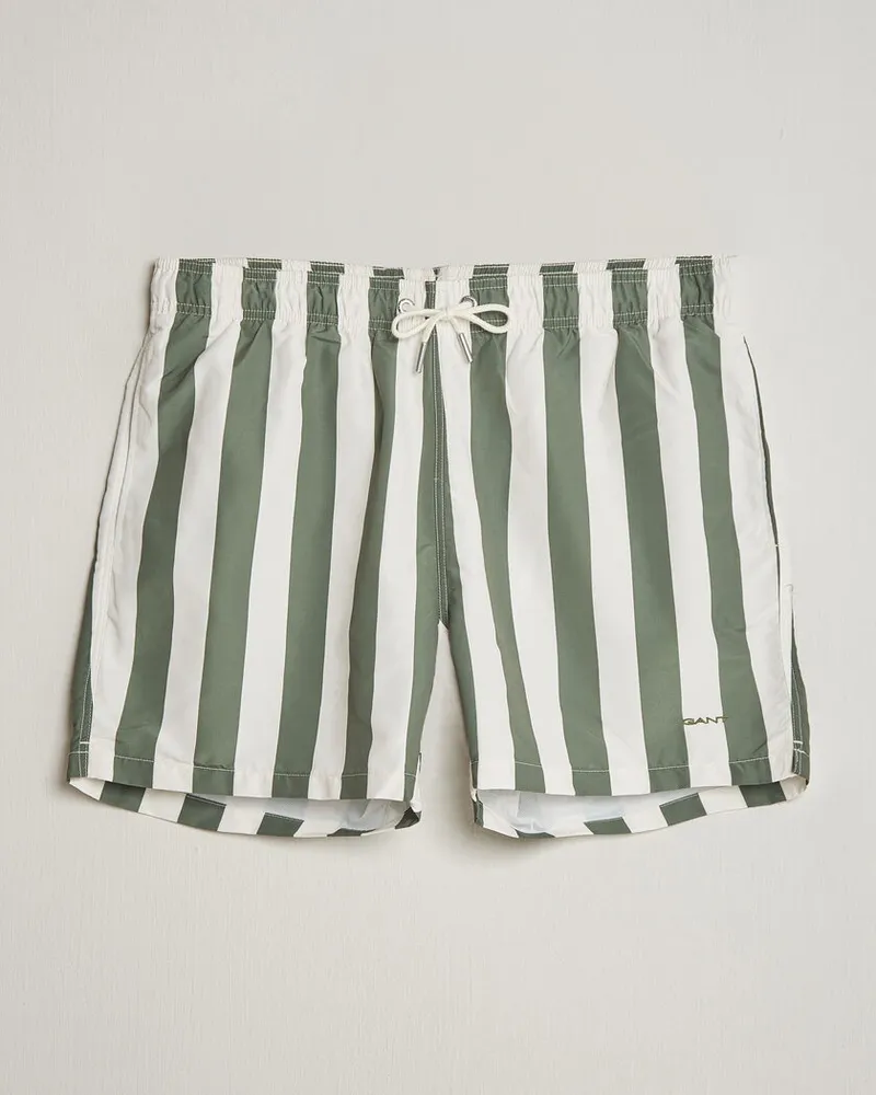 Gant Blockstriped Swimshorts Dry Herb Green Grün