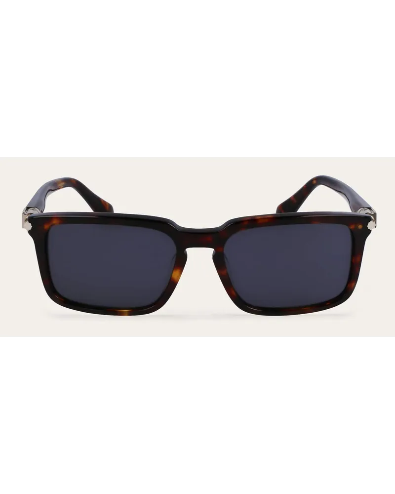 Ferragamo Herren Sonnenbrillen Braun Braun