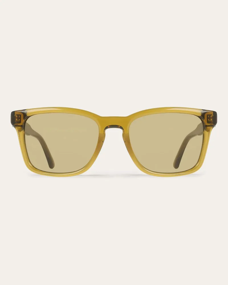 Ferragamo Herren Sonnenbrillen Beige Braun