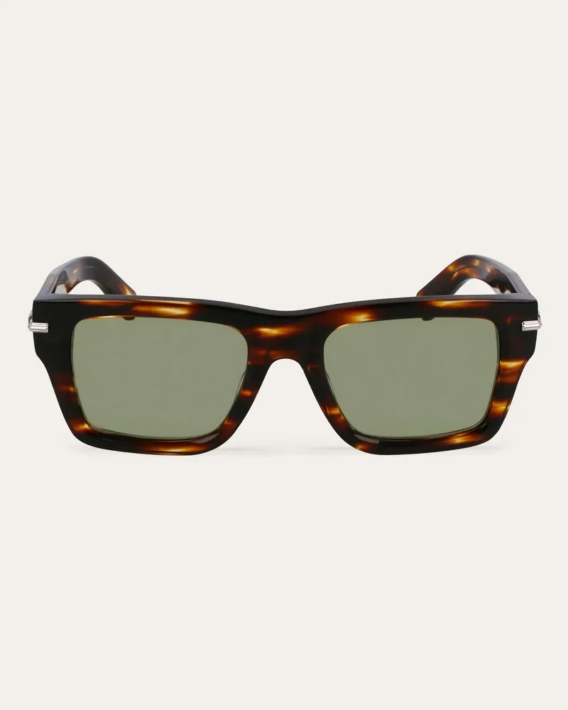 Ferragamo Herren Sonnenbrillen Grün Grün