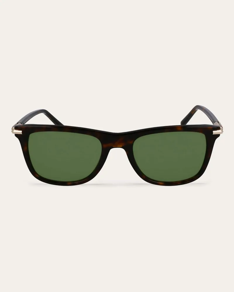 Ferragamo Herren Sonnenbrillen Braun Braun