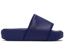 Blue Platform Slides