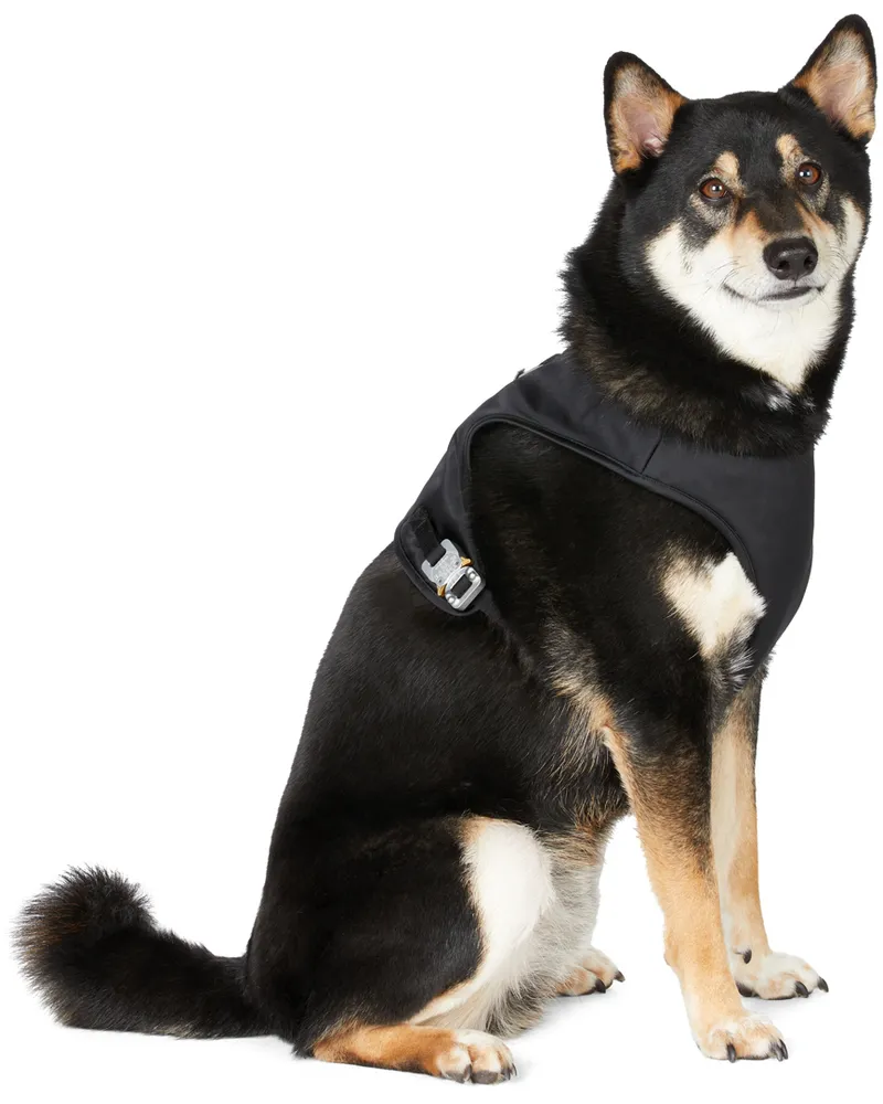 Moncler 6 Moncler 1017 ALYX 9SM Black Poldo Dog Couture Edition Vest 999