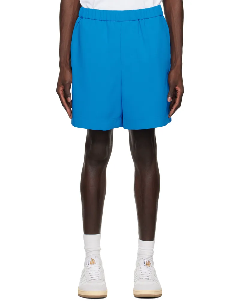 Wooyoungmi Blue Embroidered Shorts Blue