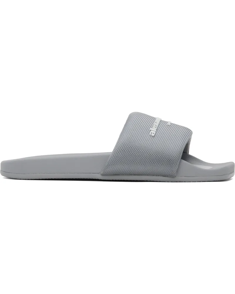 Alexander Wang Gray AW Pool Slides Alloy