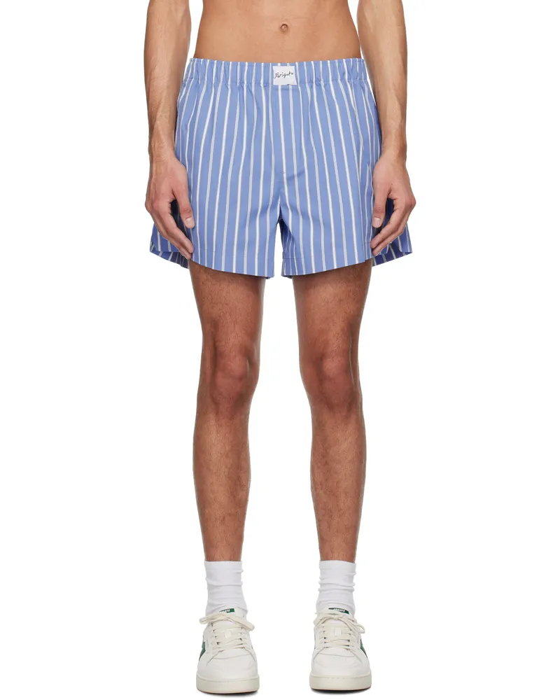 Axel Arigato Blue & White Striped Cotton Shorts Blue