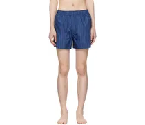 Navy Striped Swim Shorts