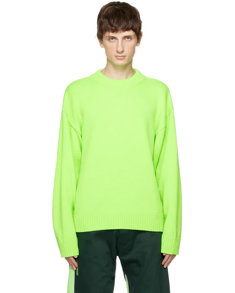 Robyn Lynch Green Crewneck Sweater 24497002