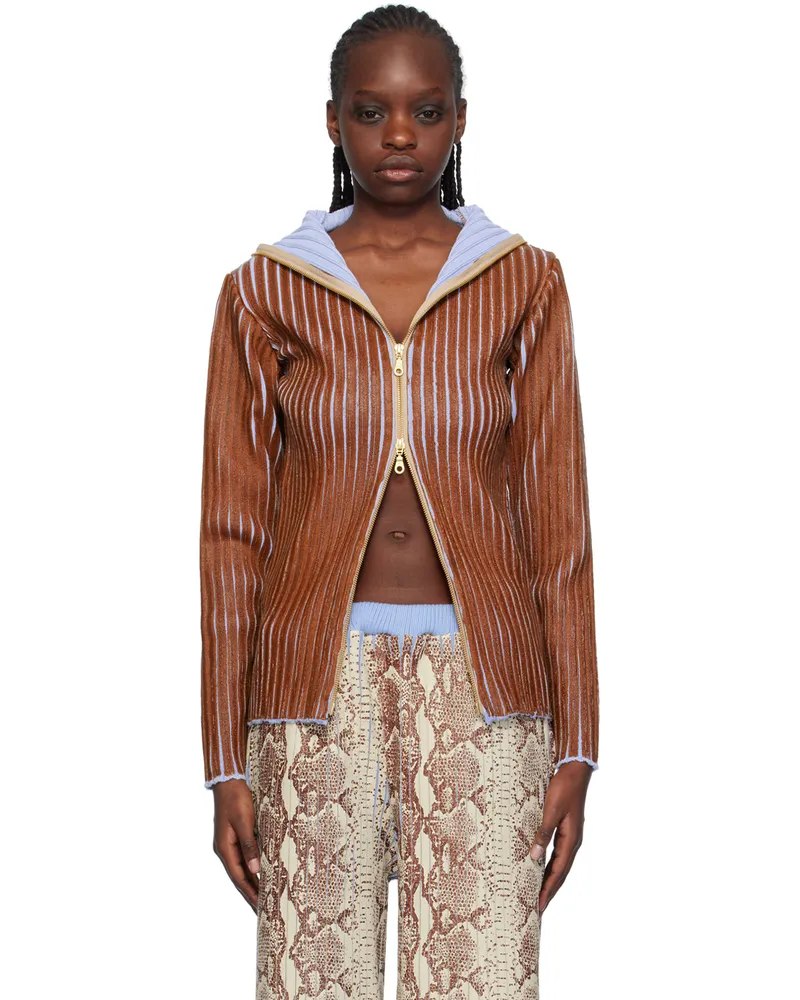 Stanley Raffington SSENSE Exclusive Brown & Blue Sweater Brown
