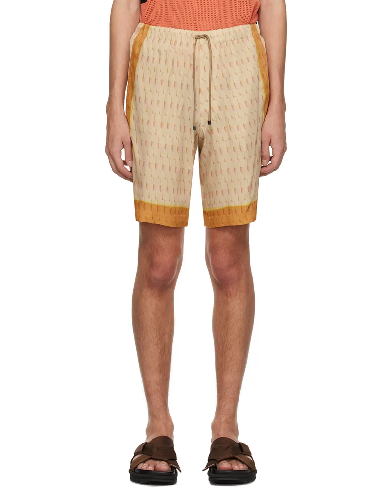 Dries van Noten Beige Drawstring Shorts 313