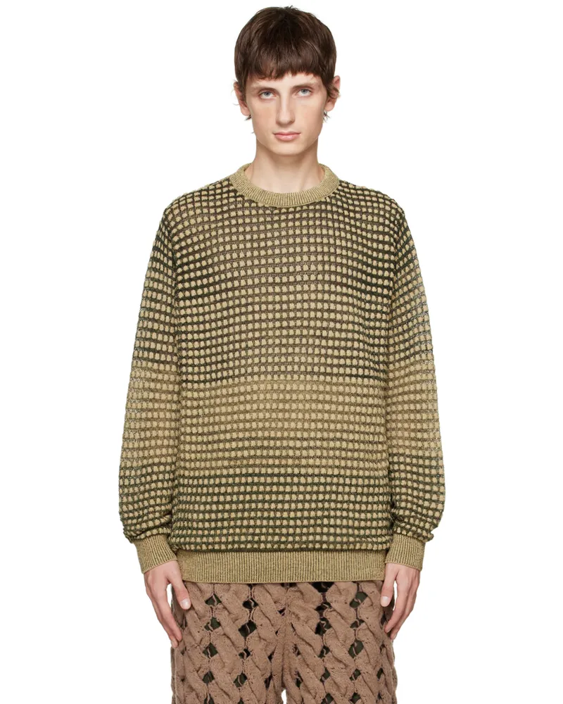 Isa Boulder Green & Beige Gradient Dot Sweater Swamp