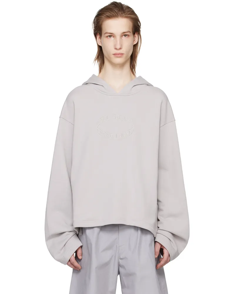 A. A. Spectrum Gray Legacy Hoodie Circuit
