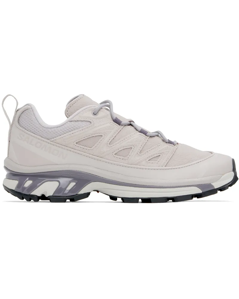 Salomon Taupe XT-6 EXPANSE LEATHER Sneakers Ashes