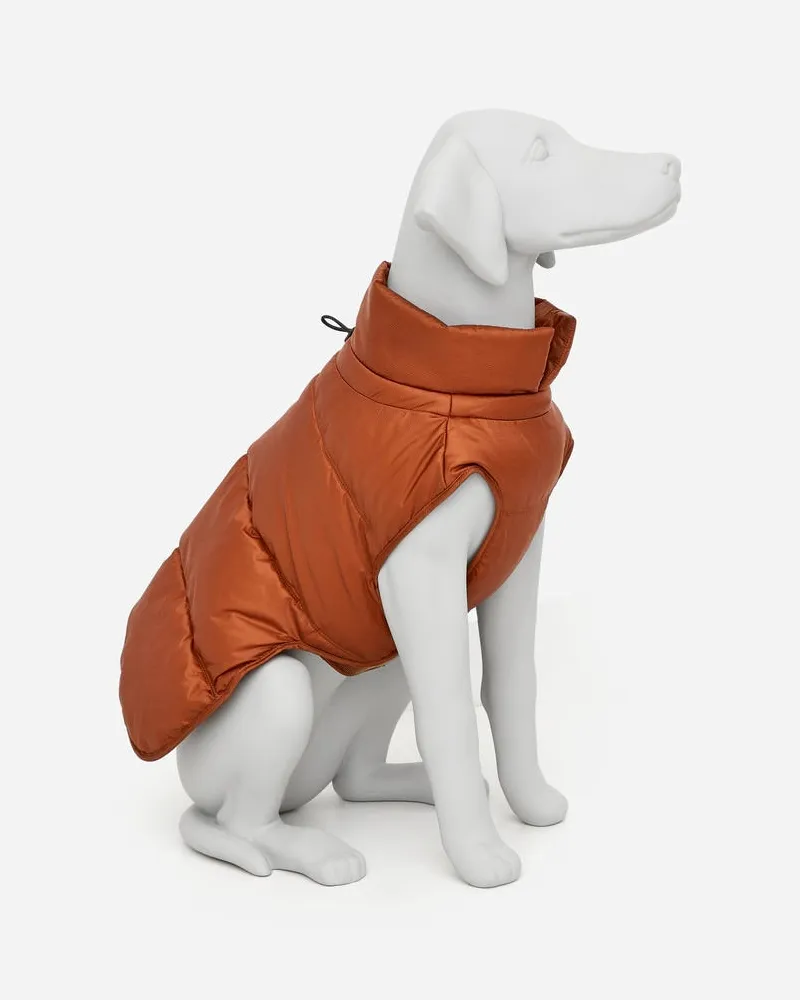 Arket Gesteppte Jacke Für Hunde -Orange Orange