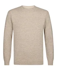 Profuomo Pullover Braun