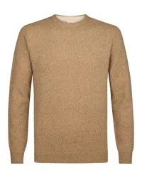 Profuomo Pullover Braun