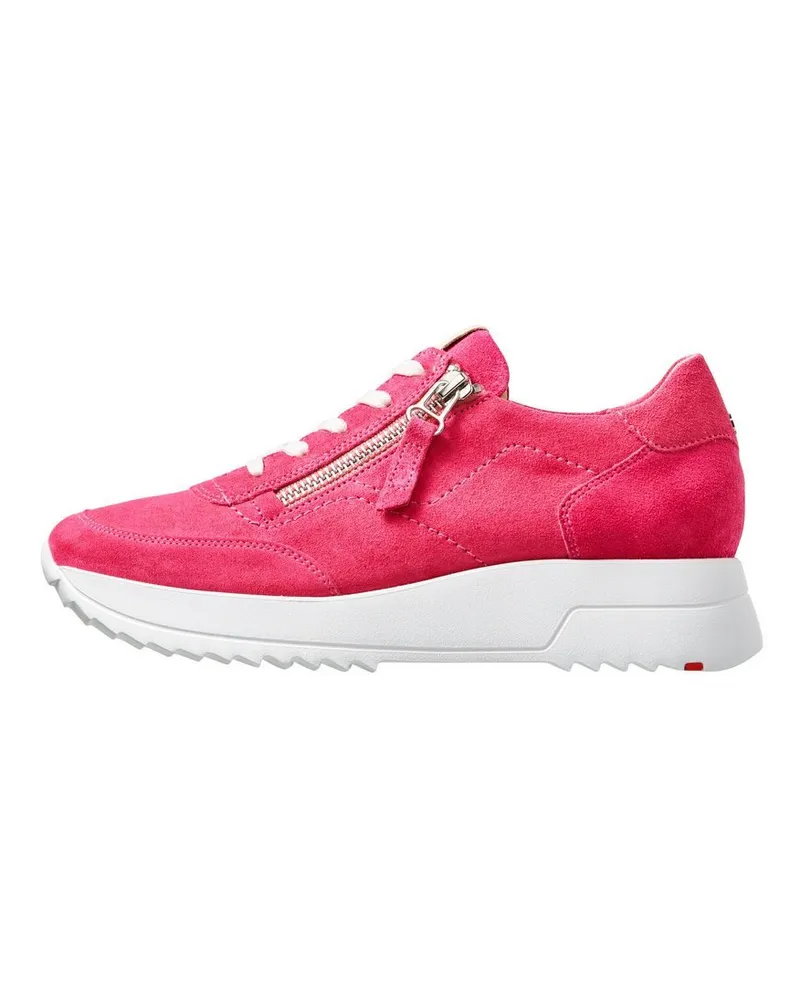 Lloyd Sneaker Rosa