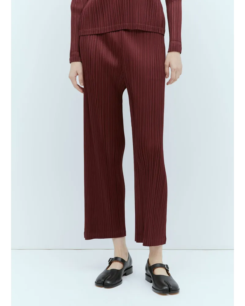 Issey Miyake October Pleated Pants Burgundy