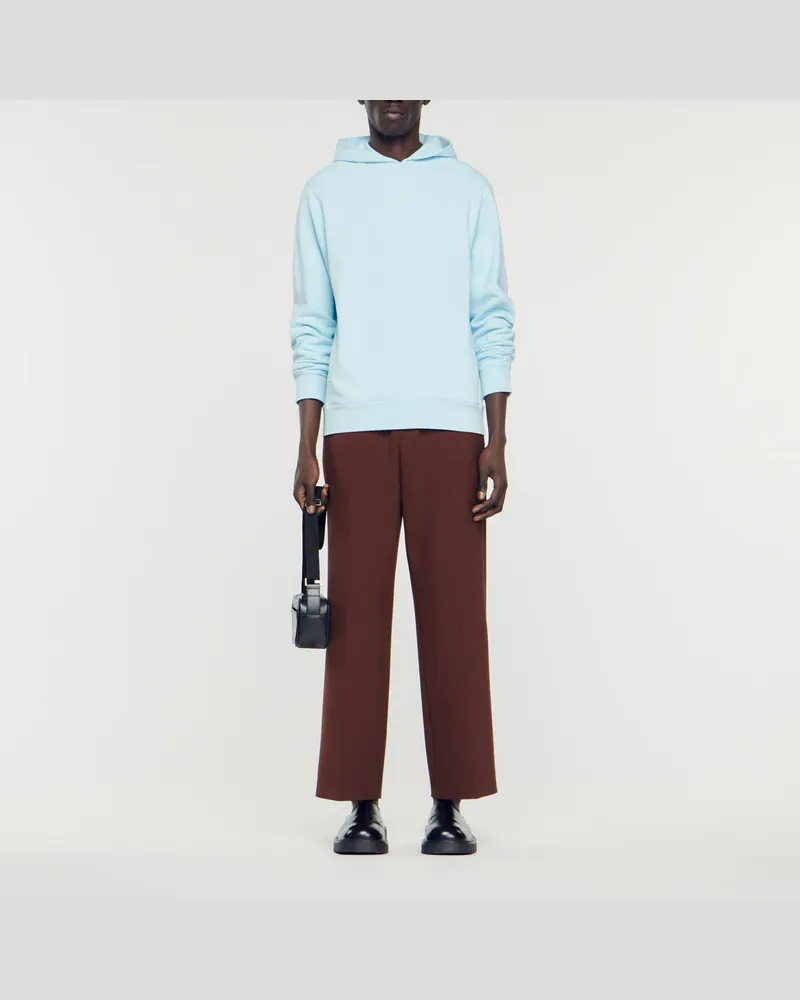 Sandro Kapuzensweatshirt mit Logo aus Gummi Hell-blau