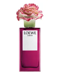 Loewe Luxury  Earth x LLADRÓ for unisex 