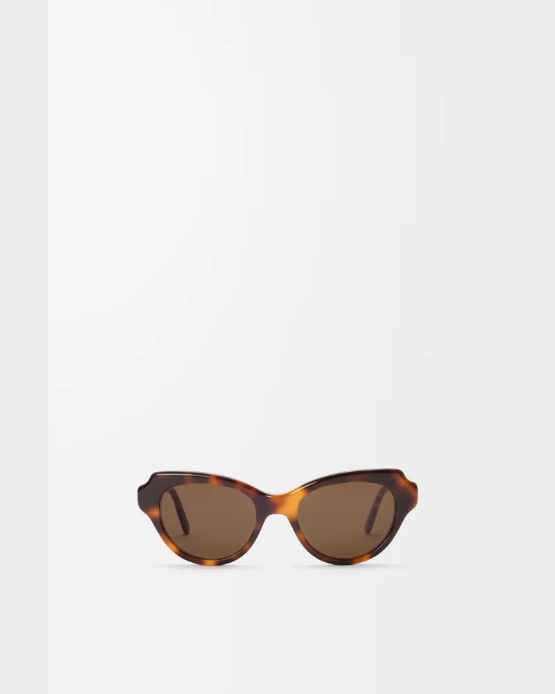 Loewe Swan Slim Sunglasses Mujer Havana