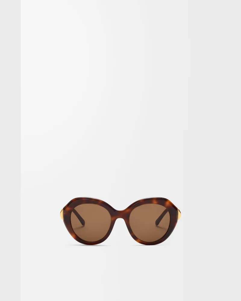 Loewe Coil Butterfly Sunglasses Mujer Havana