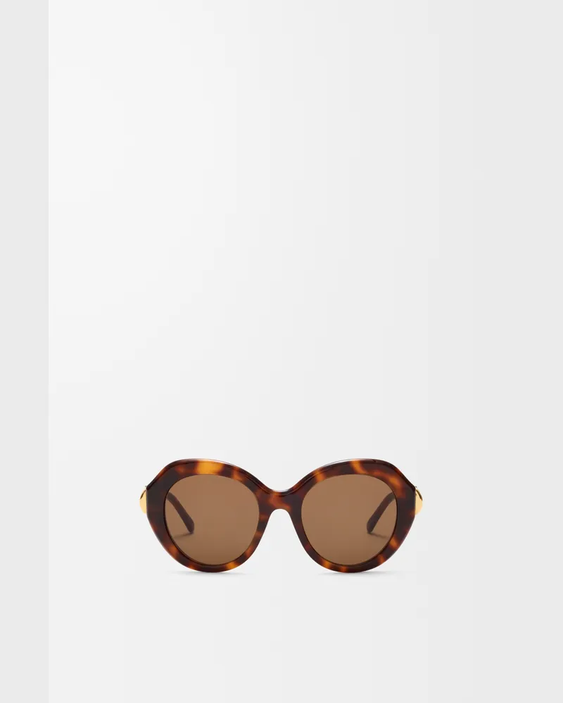 Loewe Coil Butterfly Sunglasses Mujer Havana