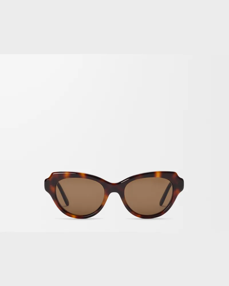 Loewe Swan Slim Sunglasses Mujer Havana