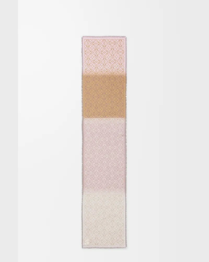 Loewe Scarf In Wool Silk And Cashmere Blend Mujer Light