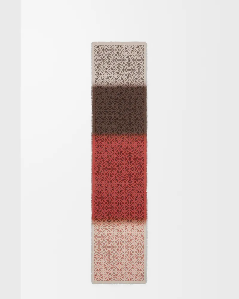 Loewe Scarf In Wool Silk And Cashmere Blend Mujer Multicolor