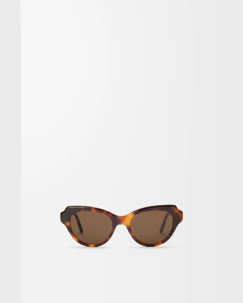 Loewe Swan Slim Sunglasses Mujer Havana
