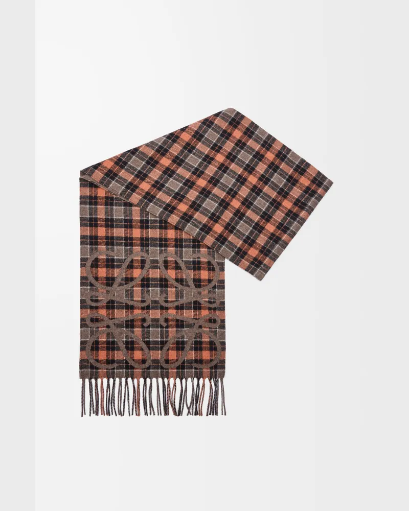 Loewe Anagram Scarf In Silk And Cashmere Mujer Brown