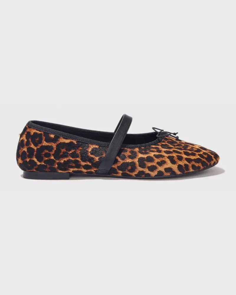 Maje Lederballerinas Mit Leopardenoptik - Imprime Leopard Imprime
