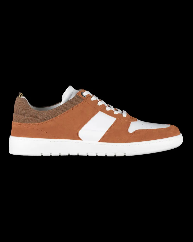 MOORER BANKSY-P5E Arancio