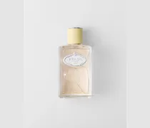 Infusion de Gingembre EDP 100 ml