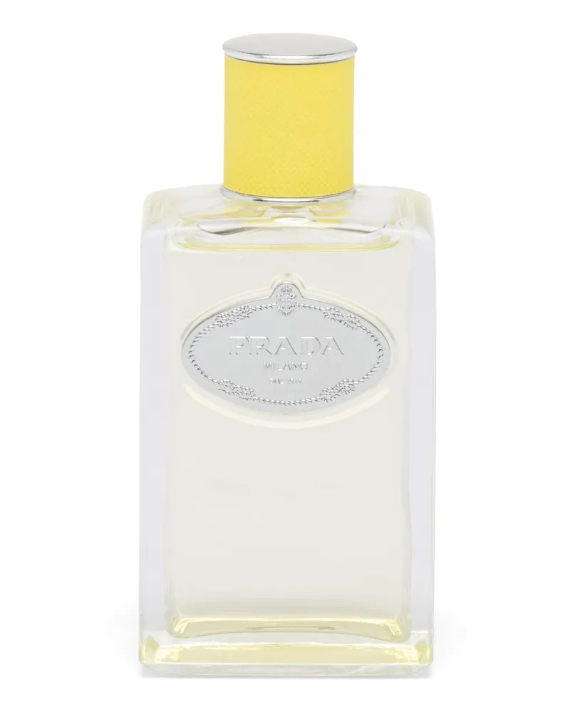 Prada Infusion D'ylang Edp 100ml, , Neutri Neutri