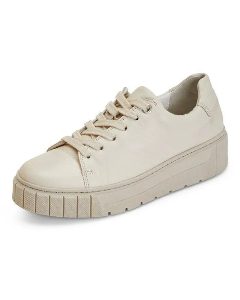 Gabor Sneaker  Comfort weiss Weiss